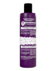 Shampoo de Platinum Profesional 493 ml. SYLT